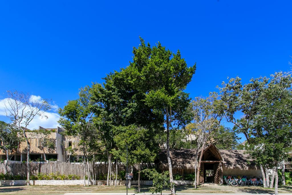 Eco-Chic Design Condos Wrapped In Nature'S Elements By Stella Rentals Тулум Екстер'єр фото